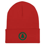 Compass Logo Beanie - Green