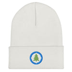 Compass Logo Beanie