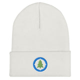 Compass Logo Beanie