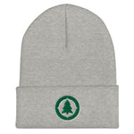 Compass Logo Beanie - Green